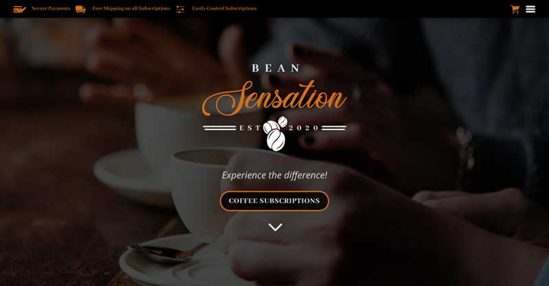 Professional Website Design Geelong